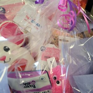 Friends for Life - Cat Basket - $75